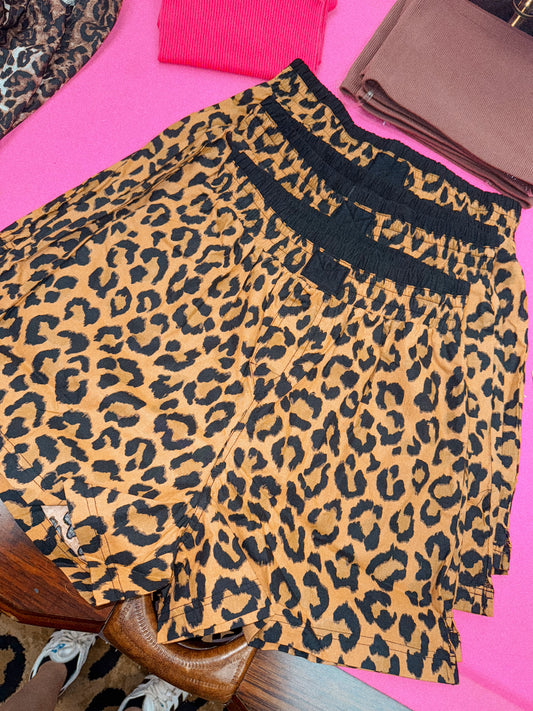 camel leopard boxer