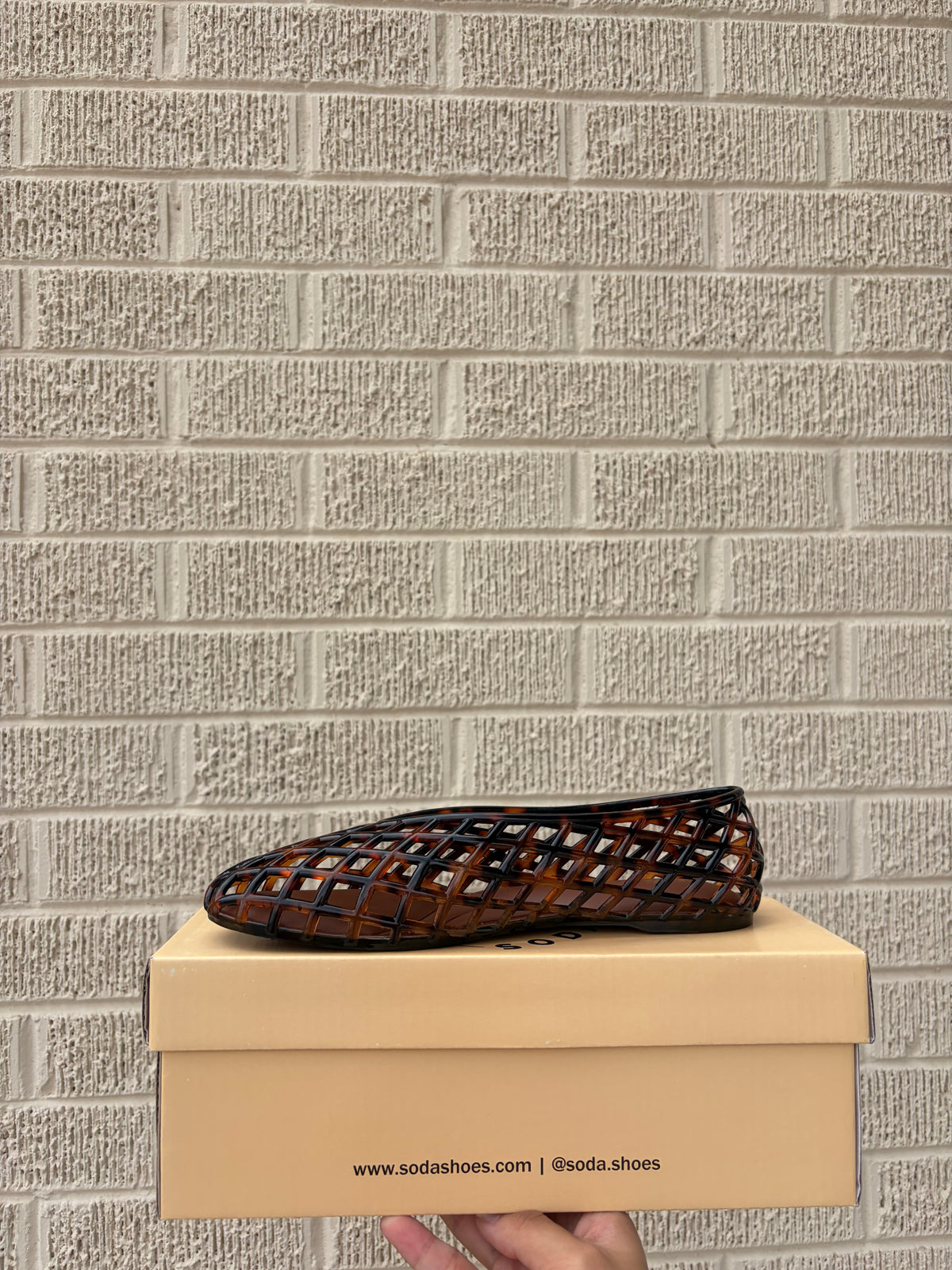 jelly shoes tortoise