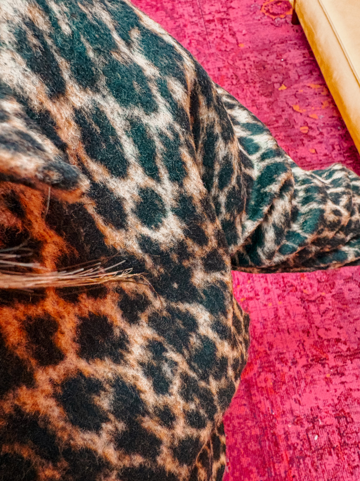 brisa gone wild jacket